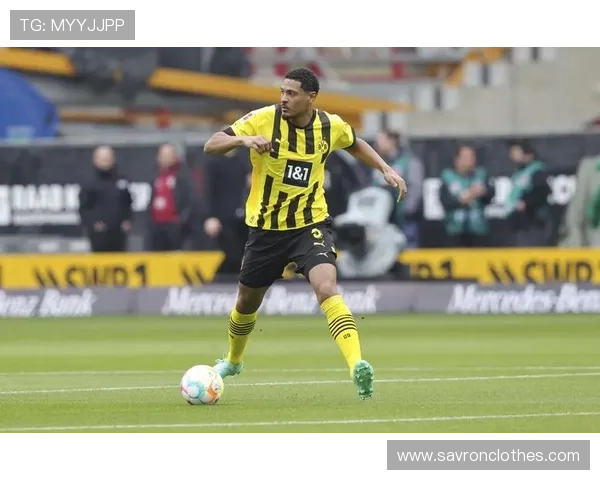 凯发足球官网用户评价与口碑分析了解真实玩家的使用体验