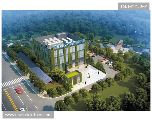 探索K8凯发真人版的最新玩法与技巧，打造属于你的专业真人娱乐体验